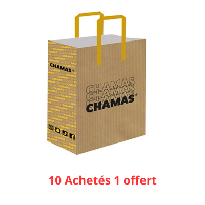 LOT DE 11 CARTONS Sac Kraft brun